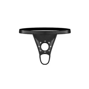 Studded leather harness accessory