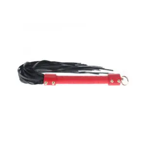 Leather whip with metal ring handle